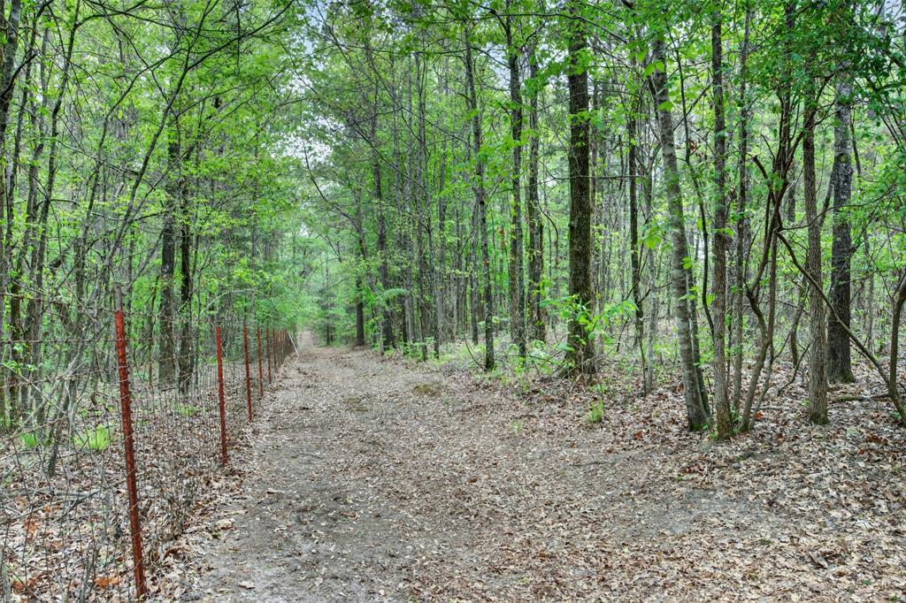 17961 Munnerlyn Chapel Road Ida, LA 71044 - Photo 19 of 29