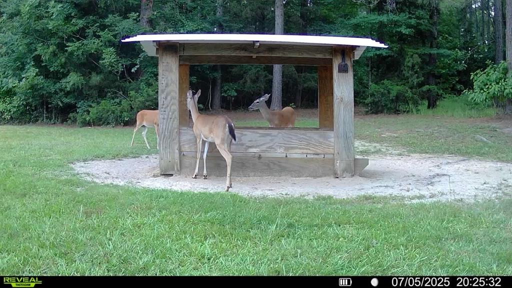 17961 Munnerlyn Chapel Road Ida, LA 71044 - Photo 21 of 29