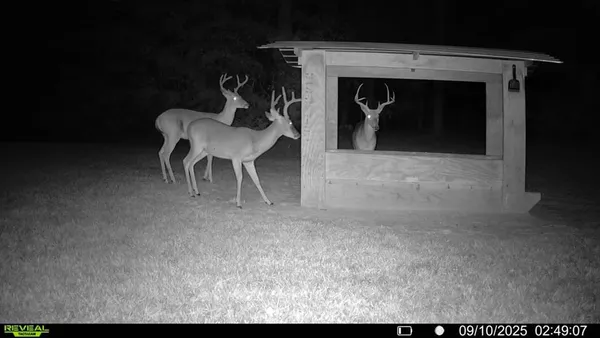 $765,000 | 17961 Munnerlyn Chapel Road, Ida, LA 71044