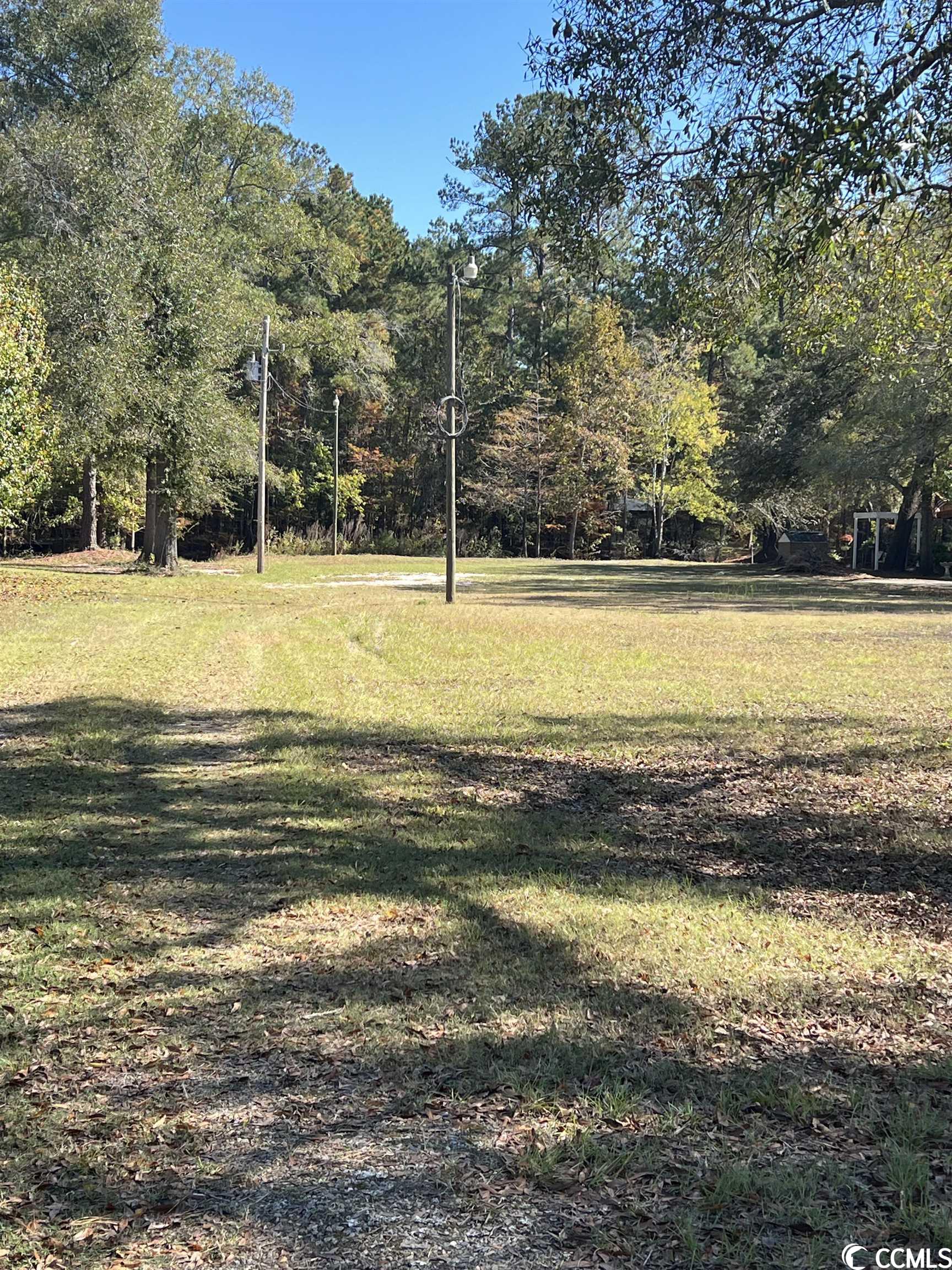 1956 Lees Landing Circle Conway, SC 29526 - Photo 6 of 6