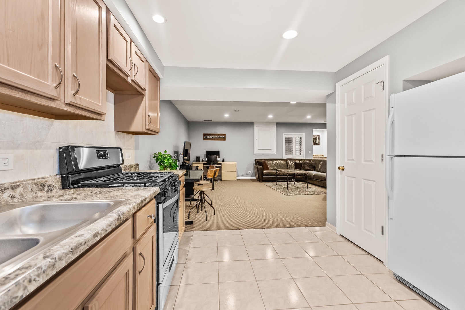 1746 Park Ridge Point Park Ridge, IL 60068 - Photo 39 of 54