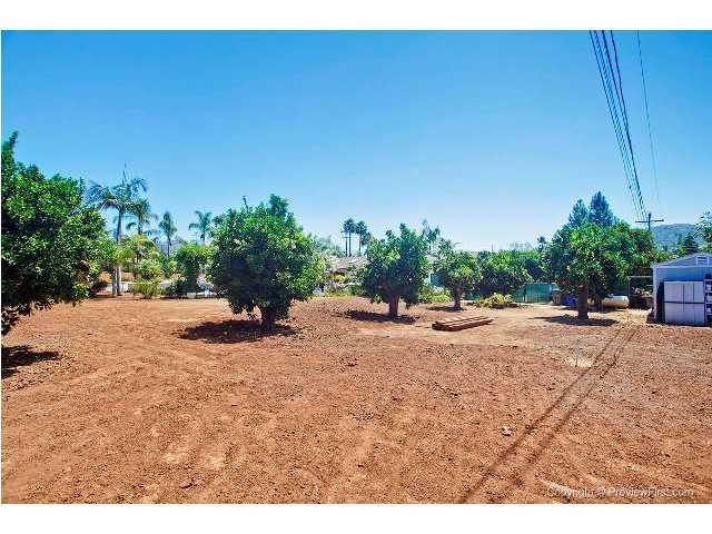 3426 Royal Road Vista, CA 92084 - Photo 18 of 24 Wonderful Orange grove and room for more family fruit or gardens