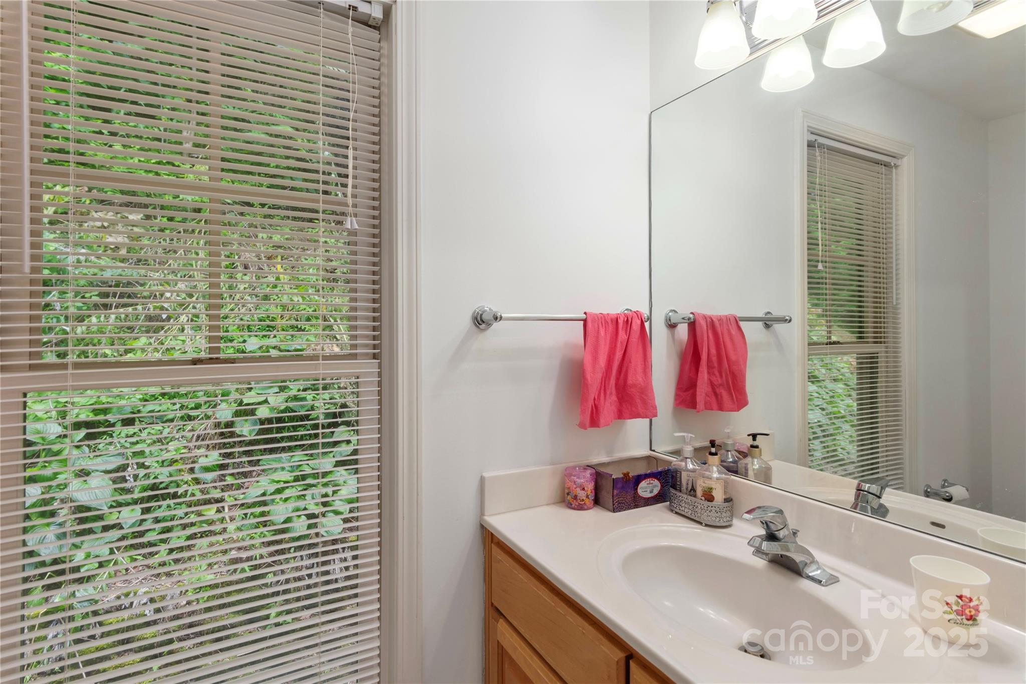 98 Choga Ridge Whittier, NC 28789 - Photo 13 of 28 a bathroom with a sink vanity and a mirror