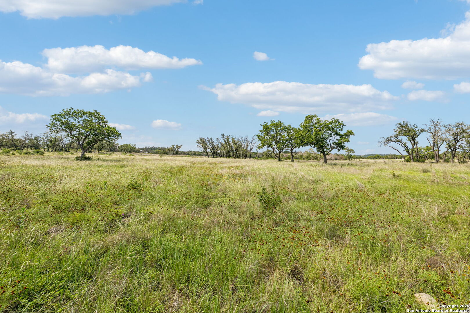 0 Seep Springs Drive Center Point, TX 78010 - Photo 28 of 50 a view of a lake and a yard