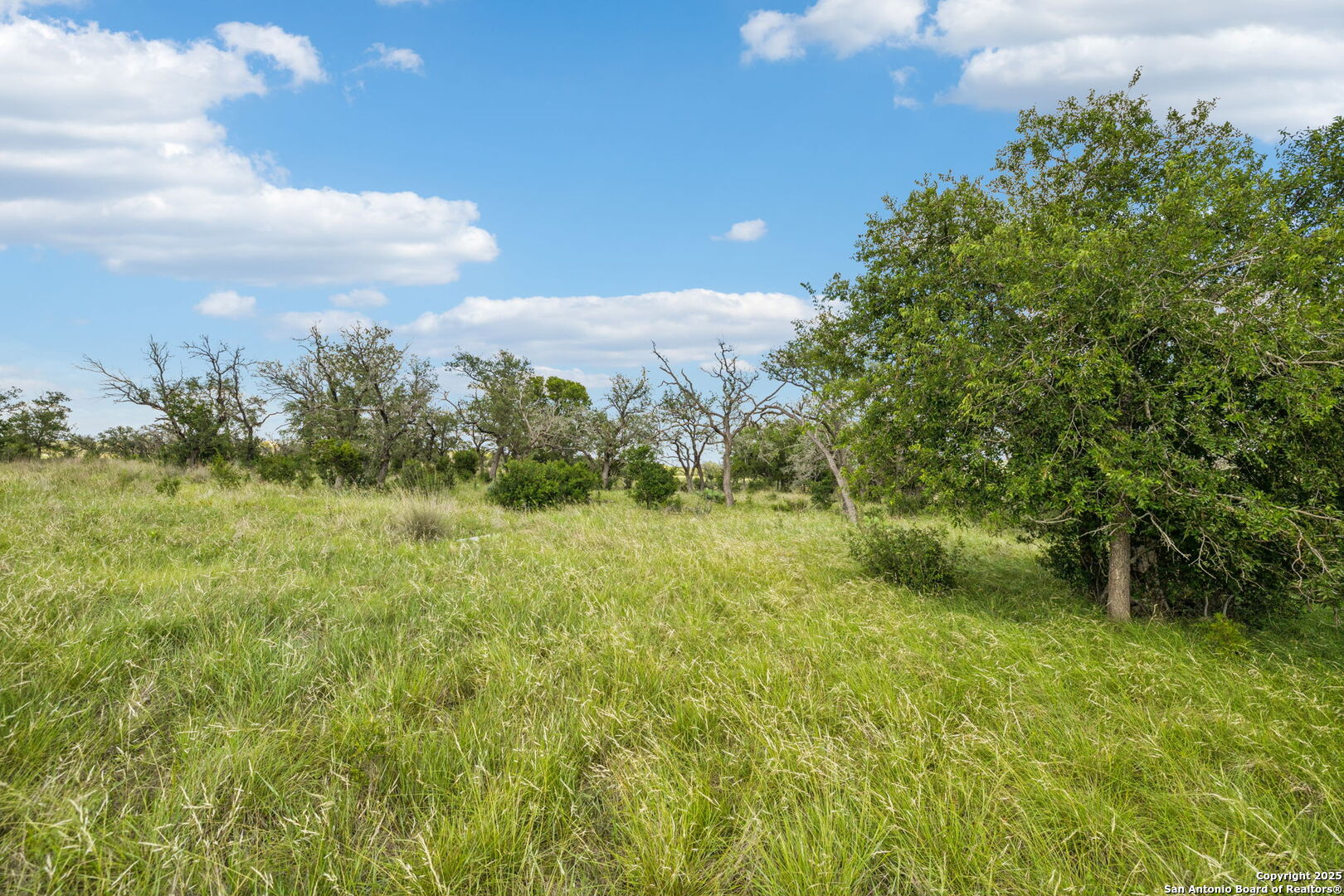 0 Seep Springs Drive Center Point, TX 78010 - Photo 29 of 50 a view of a lush green outdoor space with a lake view