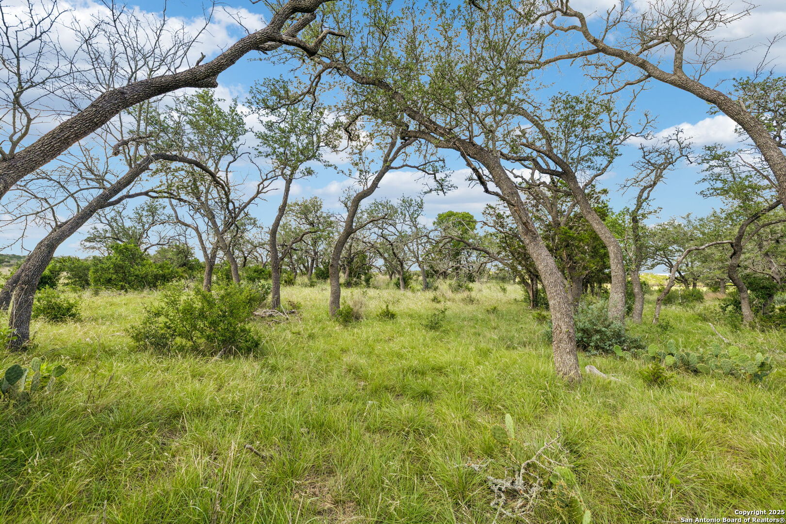 0 Seep Springs Drive Center Point, TX 78010 - Photo 31 of 50 a view of yard with green space