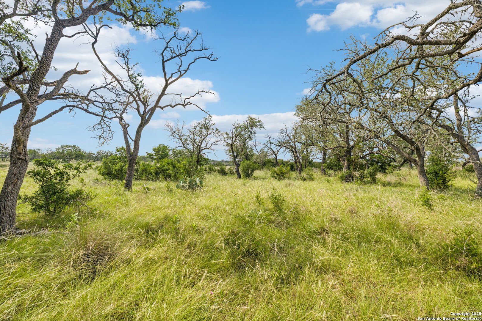 0 Seep Springs Drive Center Point, TX 78010 - Photo 32 of 50 a view of yard with green space