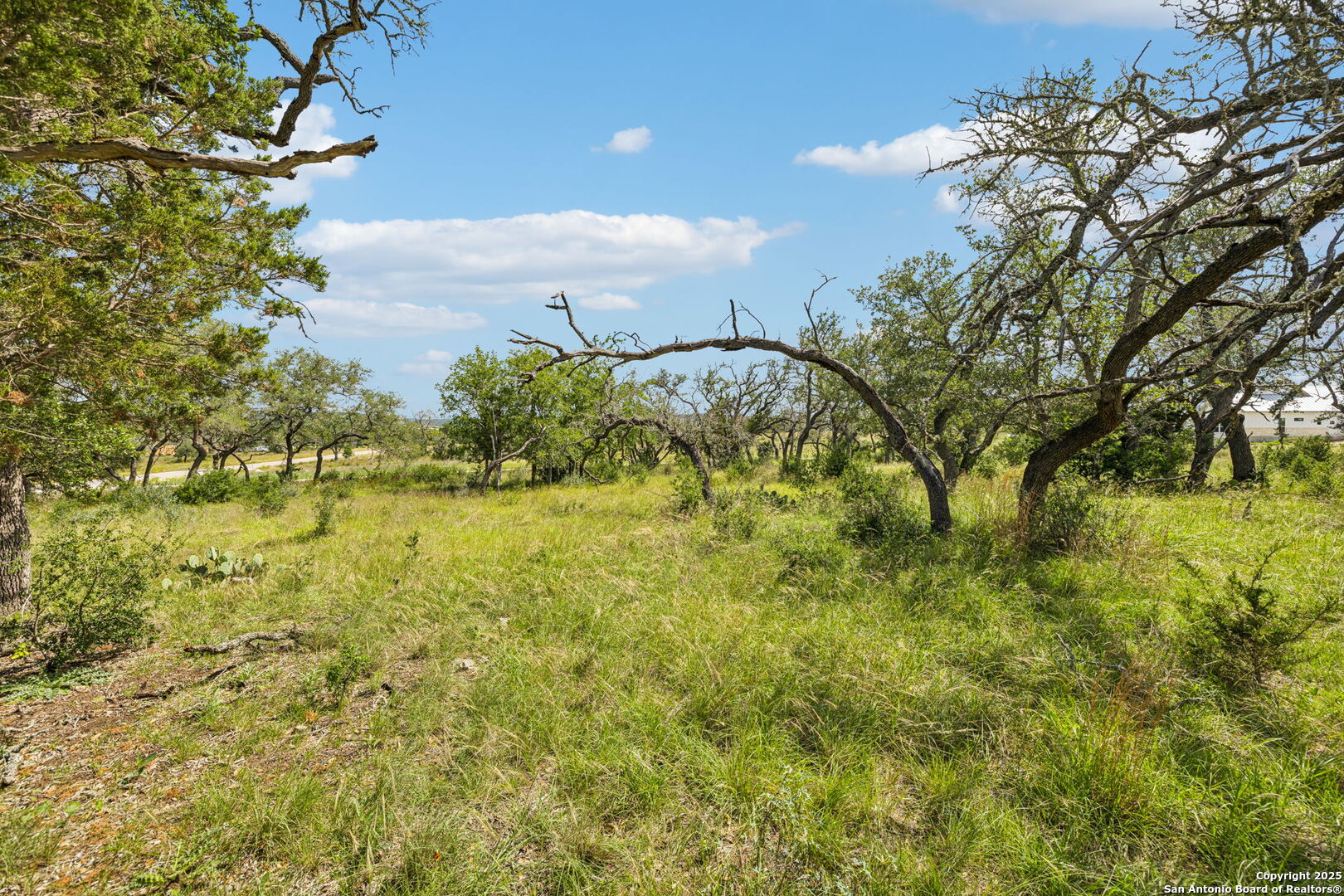 0 Seep Springs Drive Center Point, TX 78010 - Photo 33 of 50 a view of a yard with an outdoor space