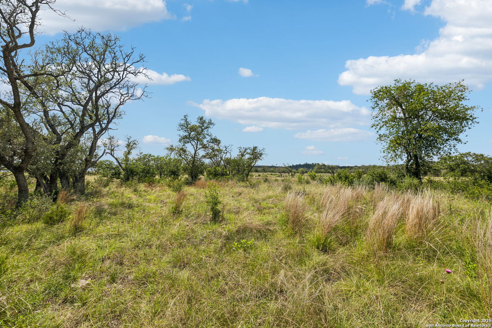 0 Seep Springs Drive Center Point, TX 78010 - Photo 34 of 50 a view of a lake with a yard