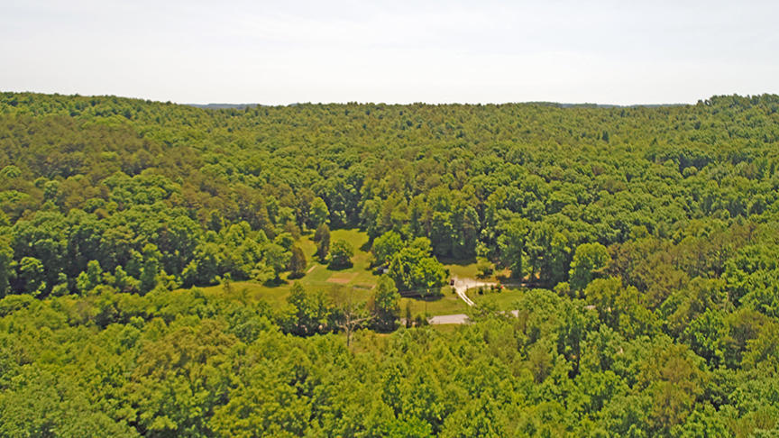 1558 Sandy Gap Road Somerset, KY 42501 - Photo 8 of 67 DJI_0190