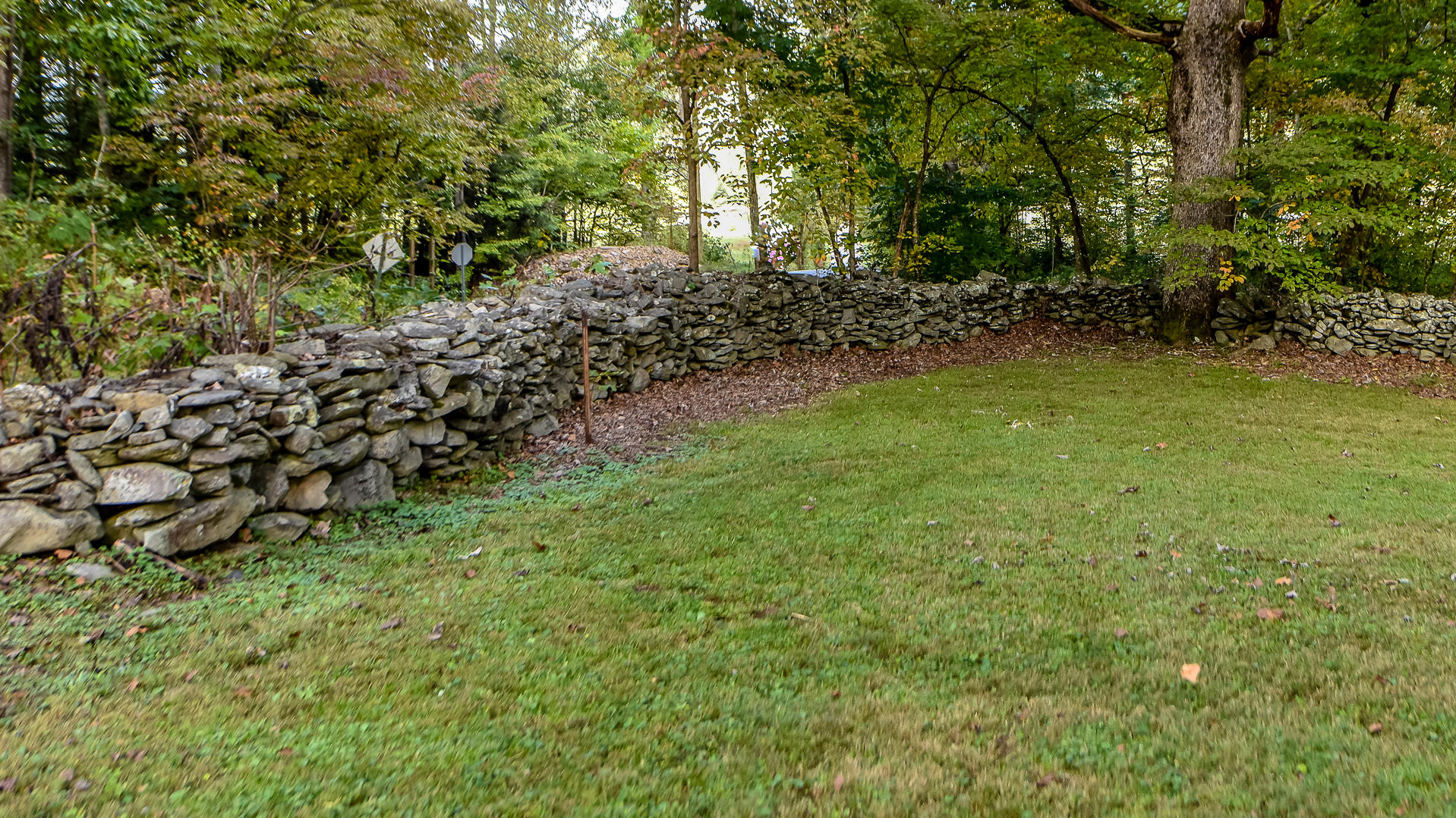 1107 Shuler Road Townsend, TN 37882 - Photo 11 of 38 DSC_7855