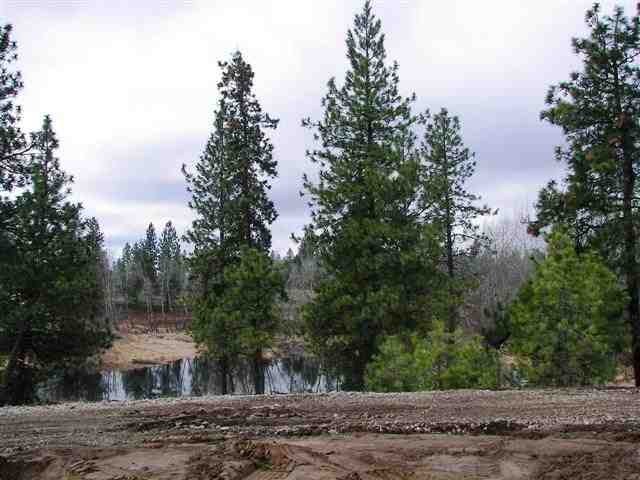 5220 North Gordon Road Spokane, WA 99224 - Photo 8 of 9