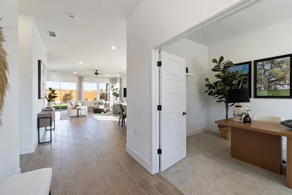 a living room with furniture and a potted plant