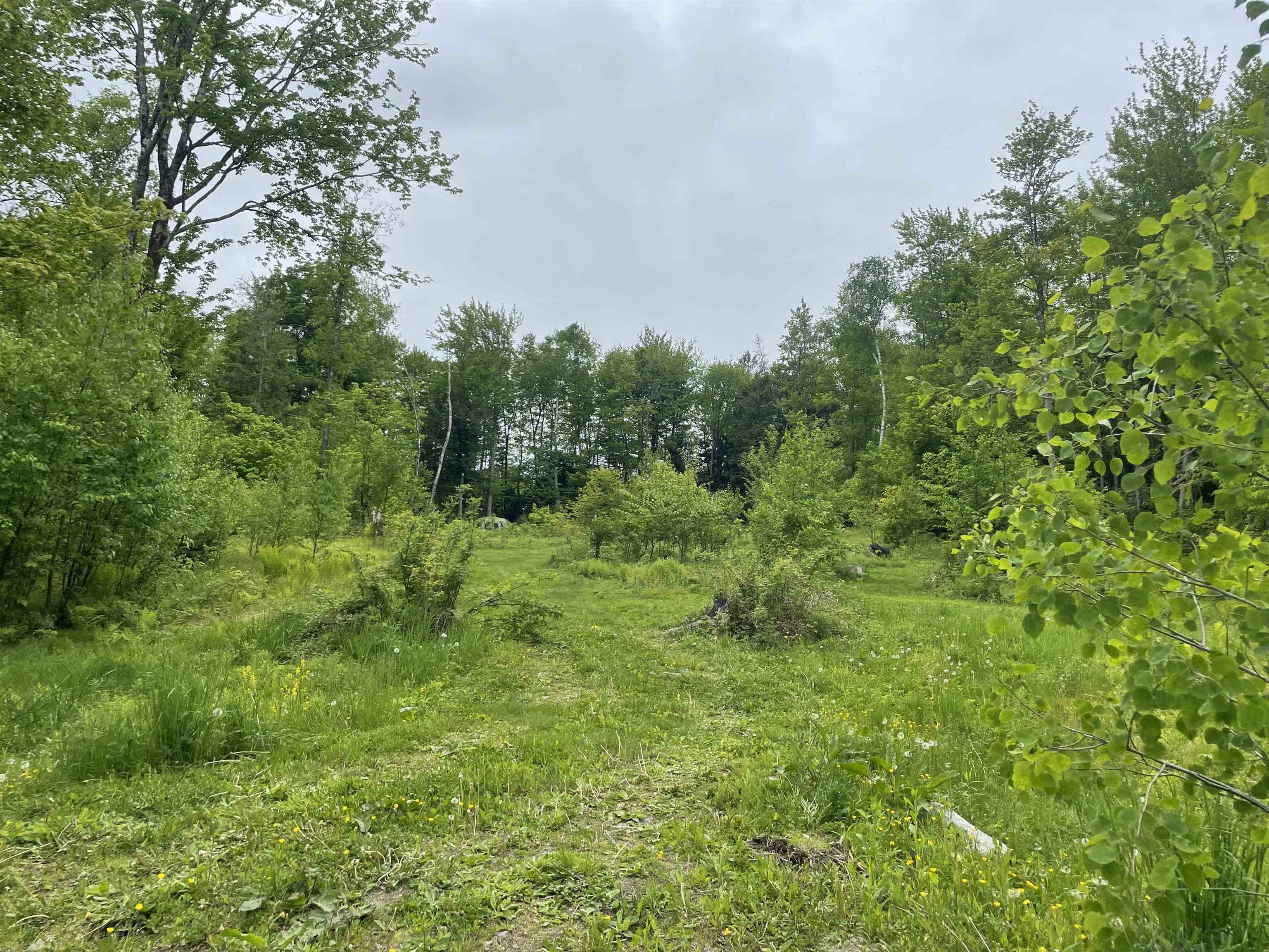 0 Leland Farm Road, Unit LOT D Middlesex, VT 05602 - Photo 17 of 22 Gallery Image 17