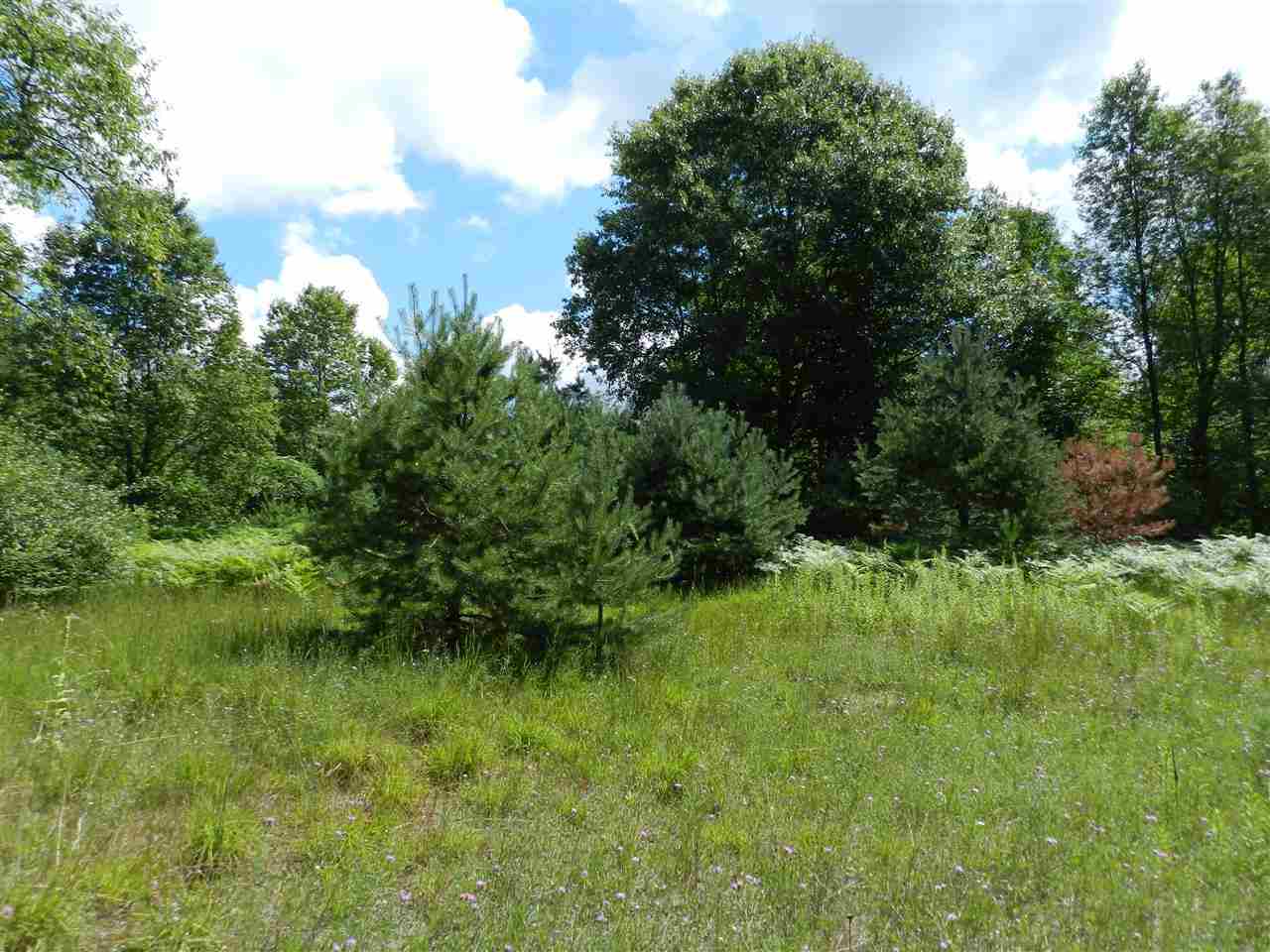 7529 Blue Road Southwest Fife Lake, MI 49633 - Photo 1 of 62 1865960.JPG