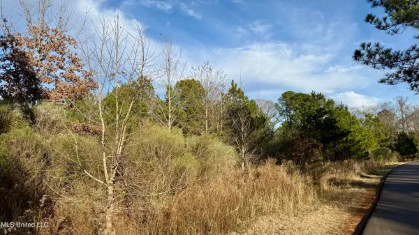 $105,000 | 0 North Livingston Road, Ridgeland, MS 39157