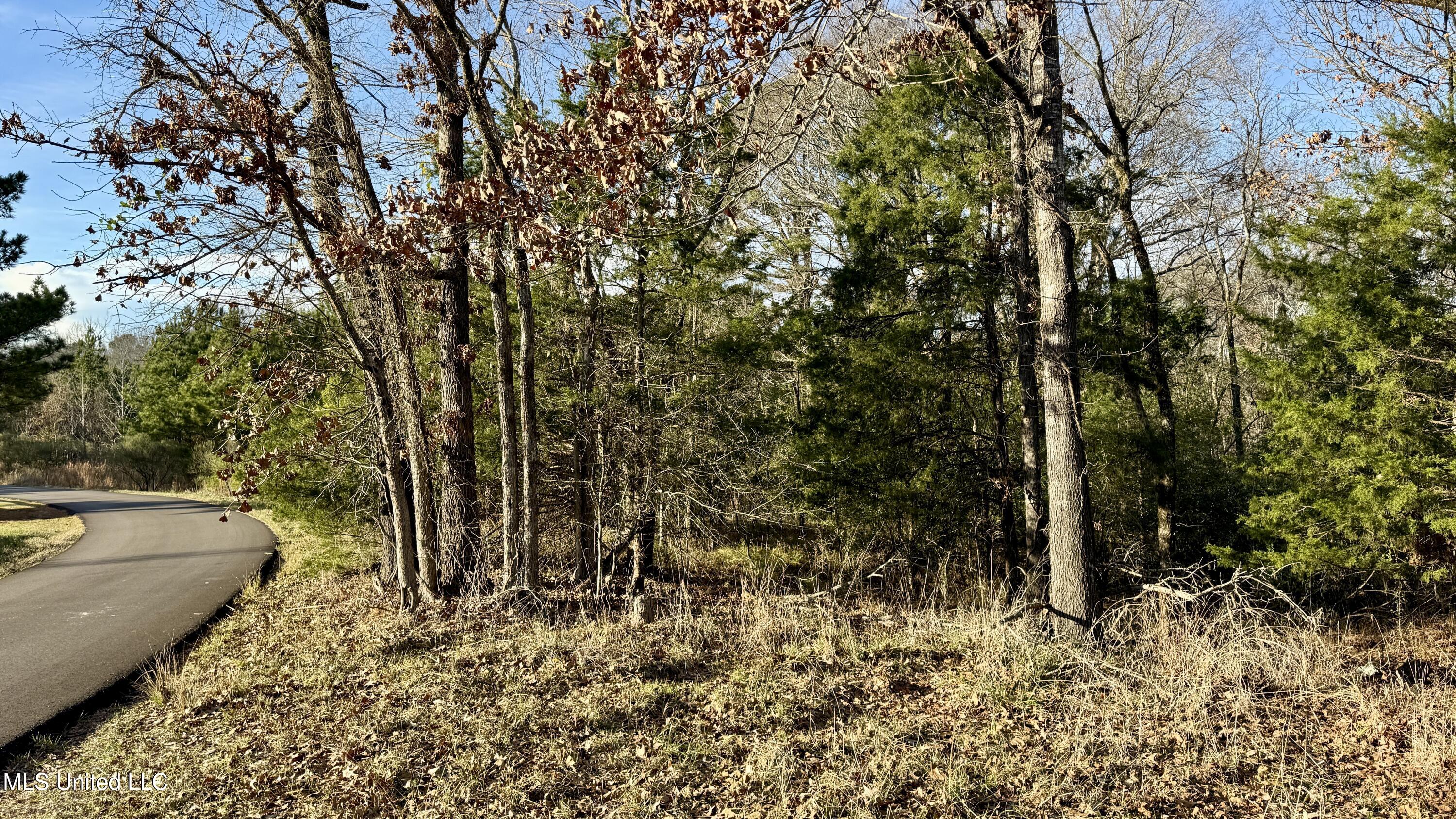 0 North Livingston Road Ridgeland, MS 39157 - Photo 4 of 8 6