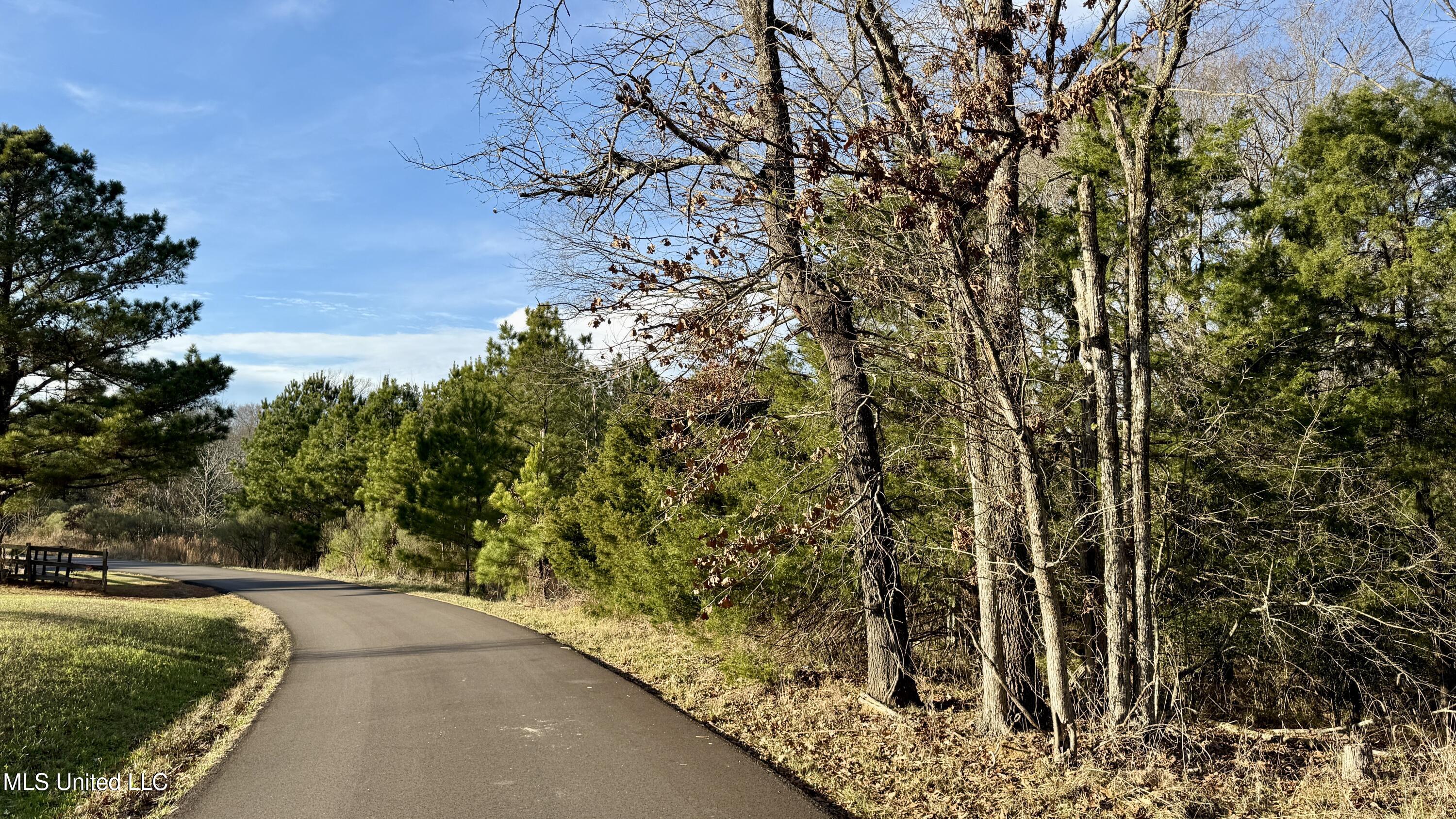 0 North Livingston Road Ridgeland, MS 39157 - Photo 5 of 8 7