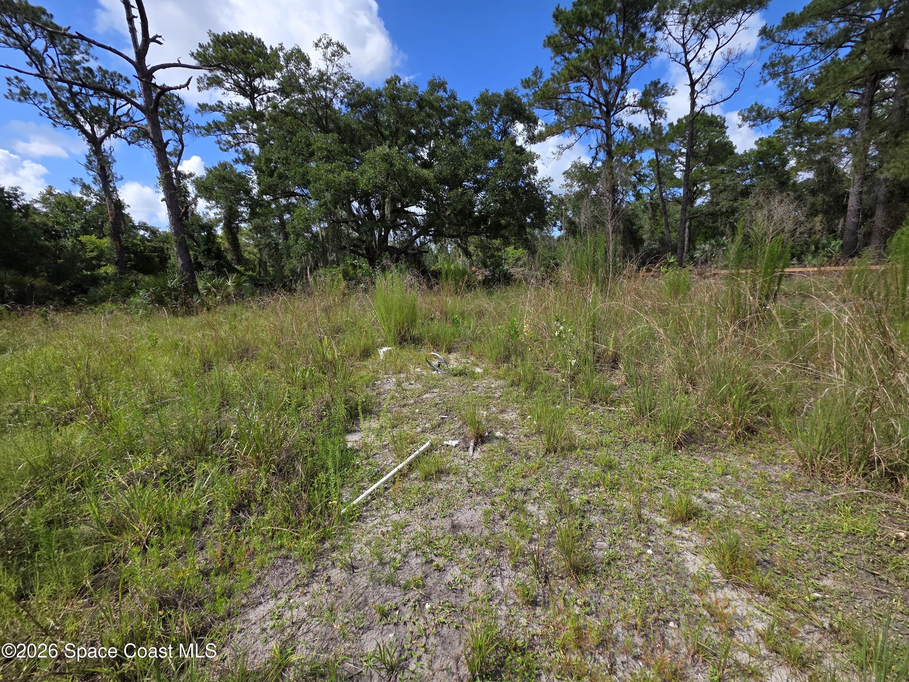 4863 Meadow Green Road Mims, FL 32754 - Photo 9 of 14 20260701_161532