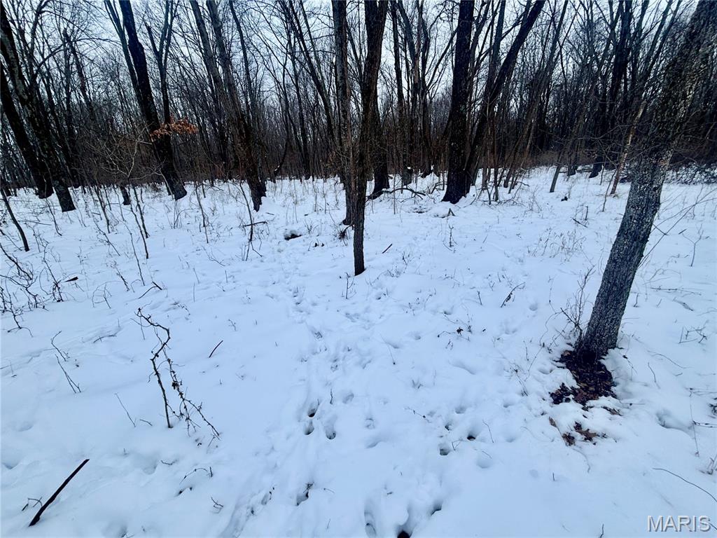 0 County Road 100 East Enfield, IL 62835 - Photo 11 of 19