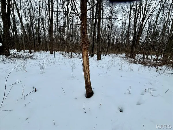 $220,000 | 0 County Road 100 East, Enfield, IL 62835