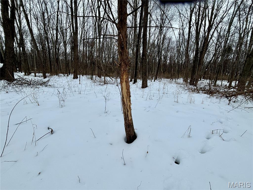 0 County Road 100 East Enfield, IL 62835 - Photo 12 of 19