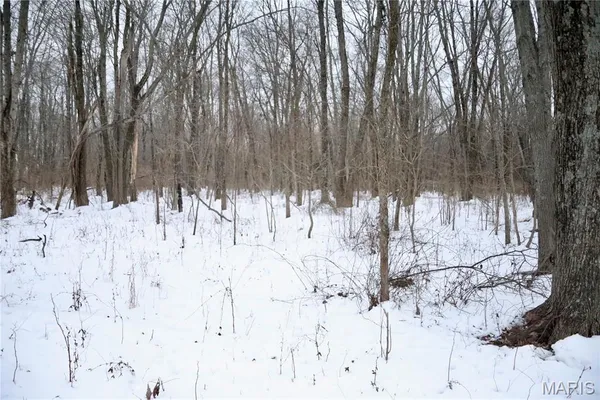 $220,000 | 0 County Road 100 East, Enfield, IL 62835