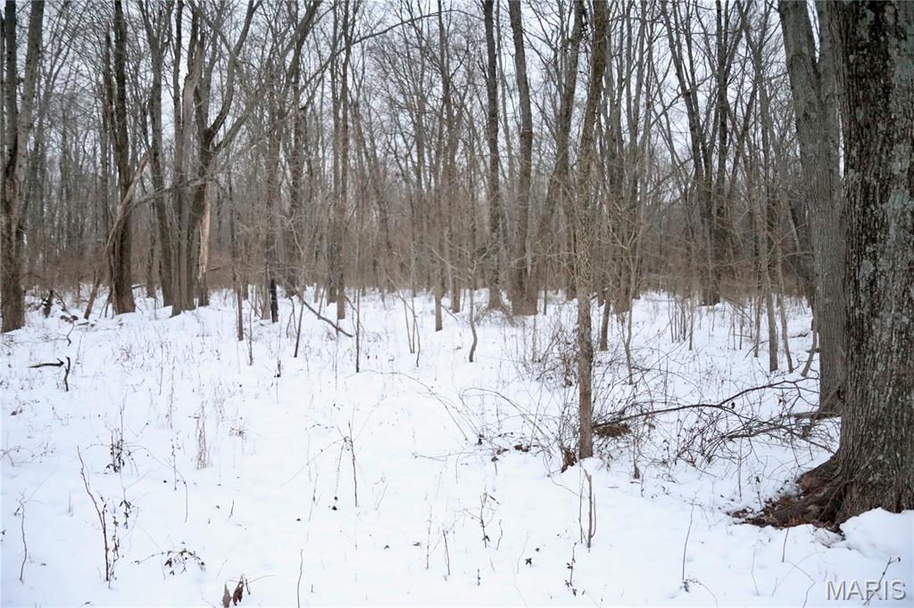 0 County Road 100 East Enfield, IL 62835 - Photo 13 of 19