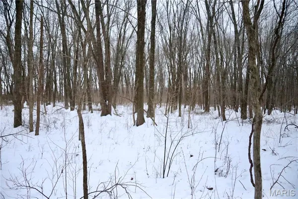 $220,000 | 0 County Road 100 East, Enfield, IL 62835