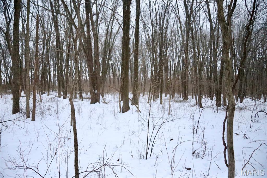 0 County Road 100 East Enfield, IL 62835 - Photo 14 of 19