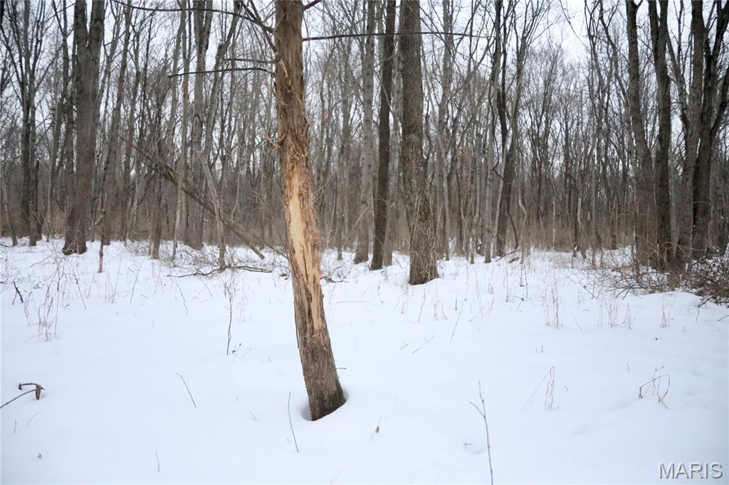 0 County Road 100 East Enfield, IL 62835 - Photo 15 of 19