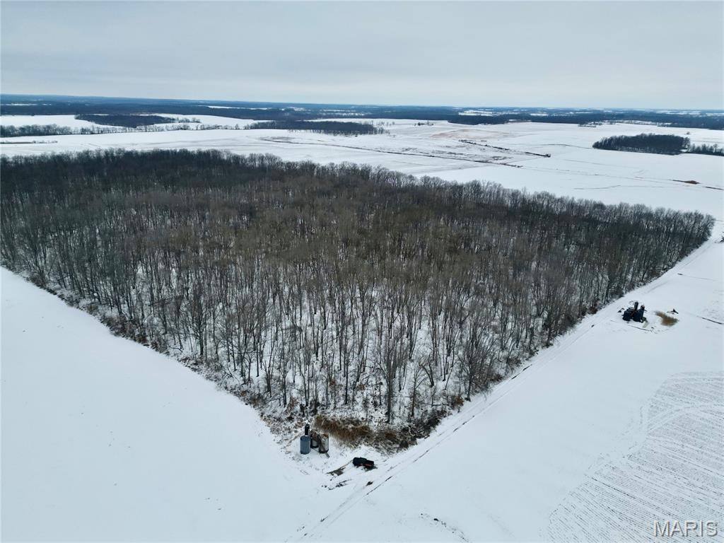 0 County Road 100 East Enfield, IL 62835 - Photo 16 of 19