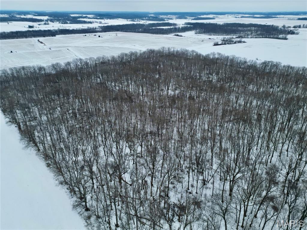 0 County Road 100 East Enfield, IL 62835 - Photo 17 of 19