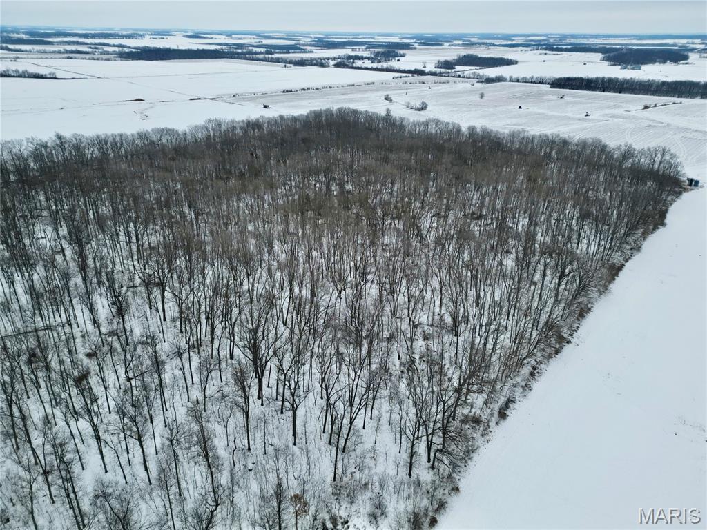 0 County Road 100 East Enfield, IL 62835 - Photo 18 of 19