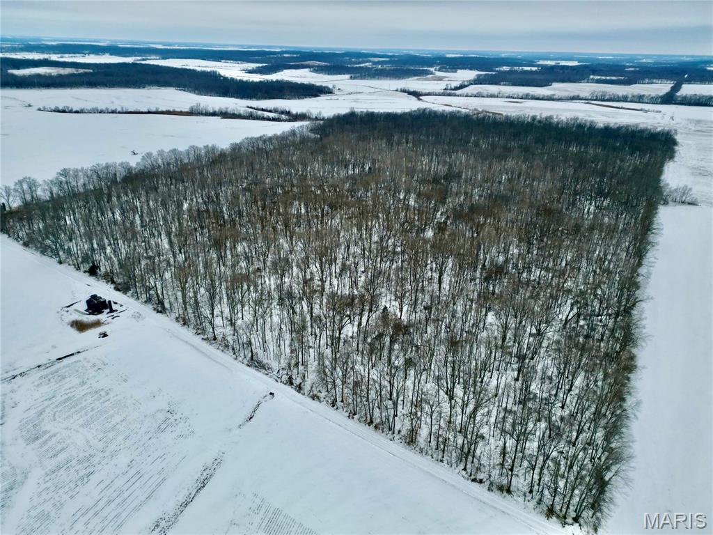 0 County Road 100 East Enfield, IL 62835 - Photo 2 of 19