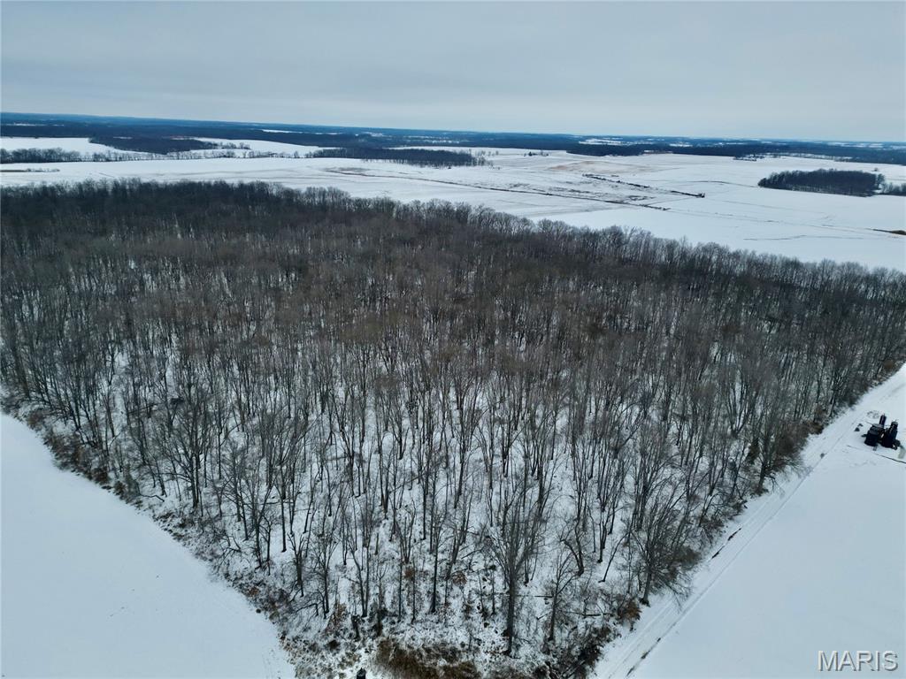 0 County Road 100 East Enfield, IL 62835 - Photo 3 of 19