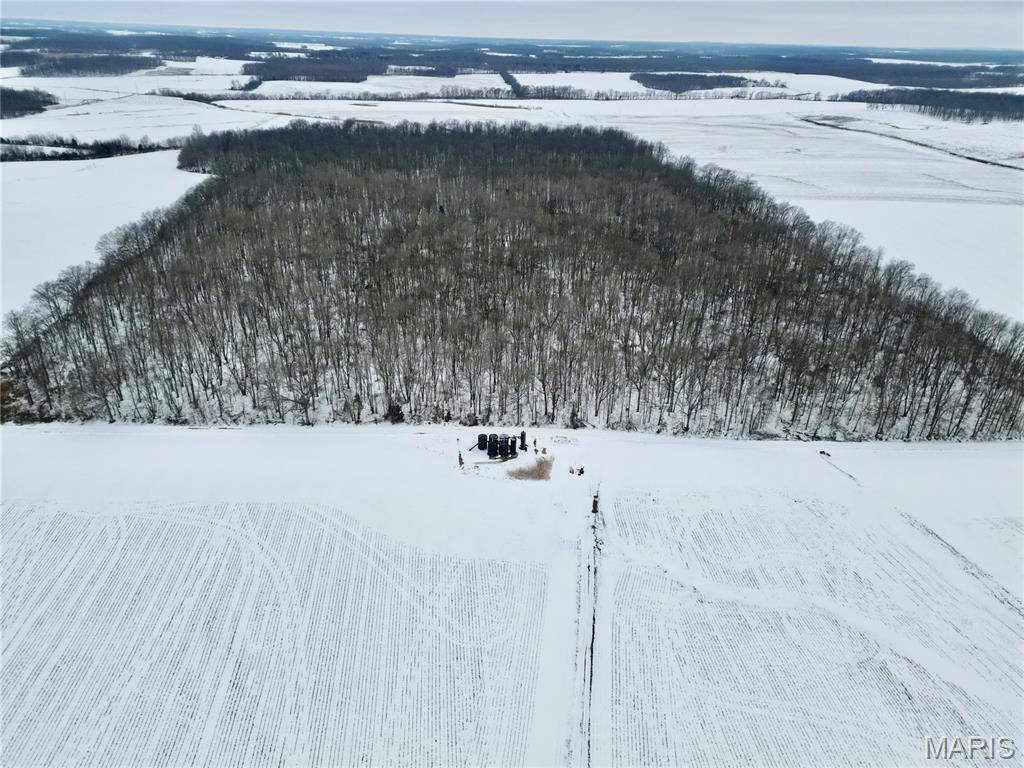 0 County Road 100 East Enfield, IL 62835 - Photo 4 of 19