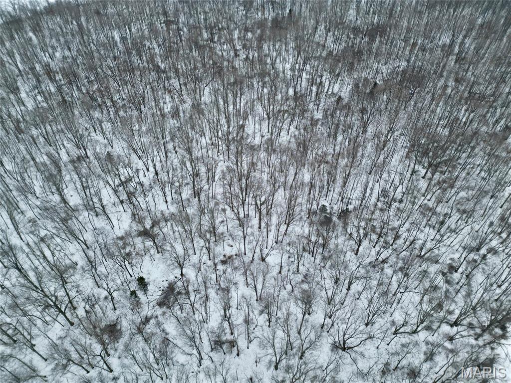 0 County Road 100 East Enfield, IL 62835 - Photo 5 of 19