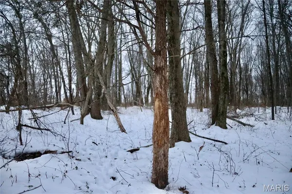 $220,000 | 0 County Road 100 East, Enfield, IL 62835