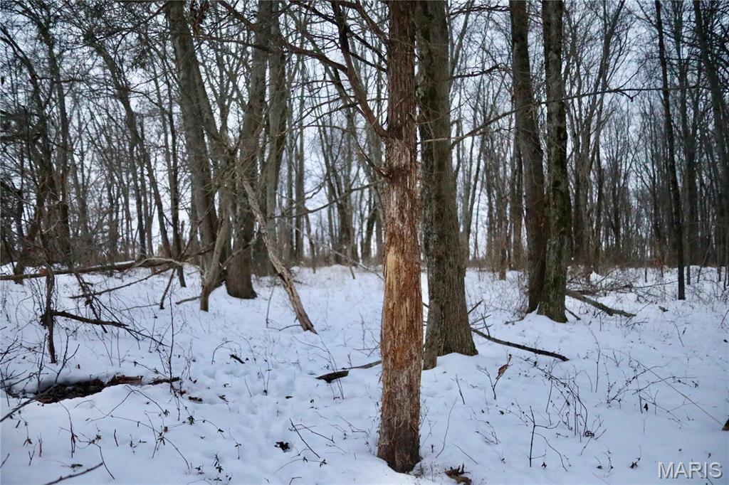 0 County Road 100 East Enfield, IL 62835 - Photo 6 of 19