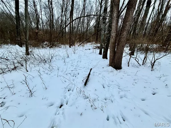 $220,000 | 0 County Road 100 East, Enfield, IL 62835