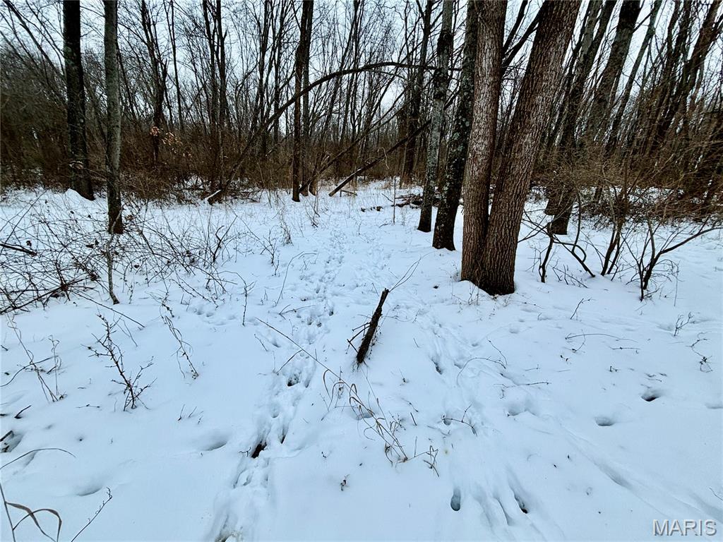 0 County Road 100 East Enfield, IL 62835 - Photo 7 of 19