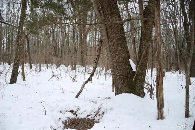 $220,000 | 0 County Road 100 East, Enfield, IL 62835