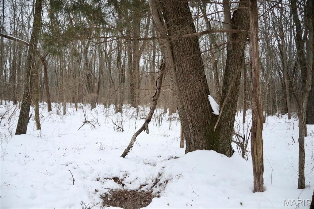 0 County Road 100 East Enfield, IL 62835 - Photo 8 of 19