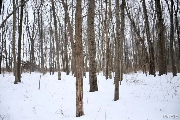 $220,000 | 0 County Road 100 East, Enfield, IL 62835