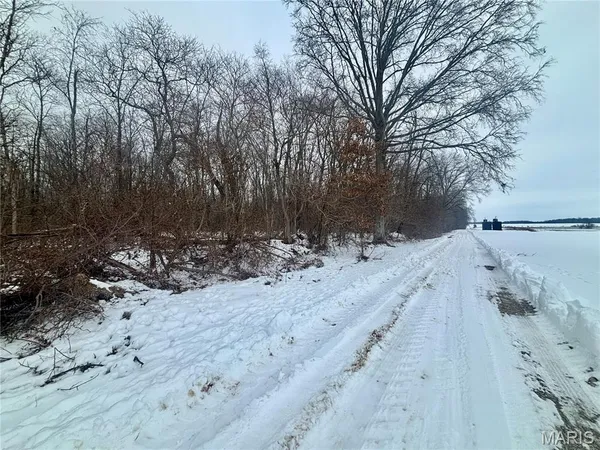 $220,000 | 0 County Road 100 East, Enfield, IL 62835