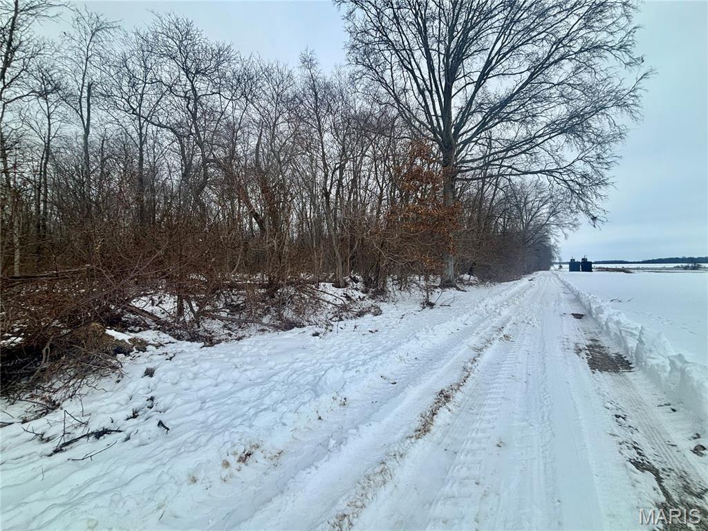 0 County Road 100 East Enfield, IL 62835 - Photo 10 of 19