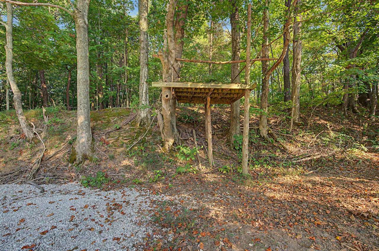575 Larry Hope Road Summer Shade, KY 42166 - Photo 9 of 29 Gallery Image 9
