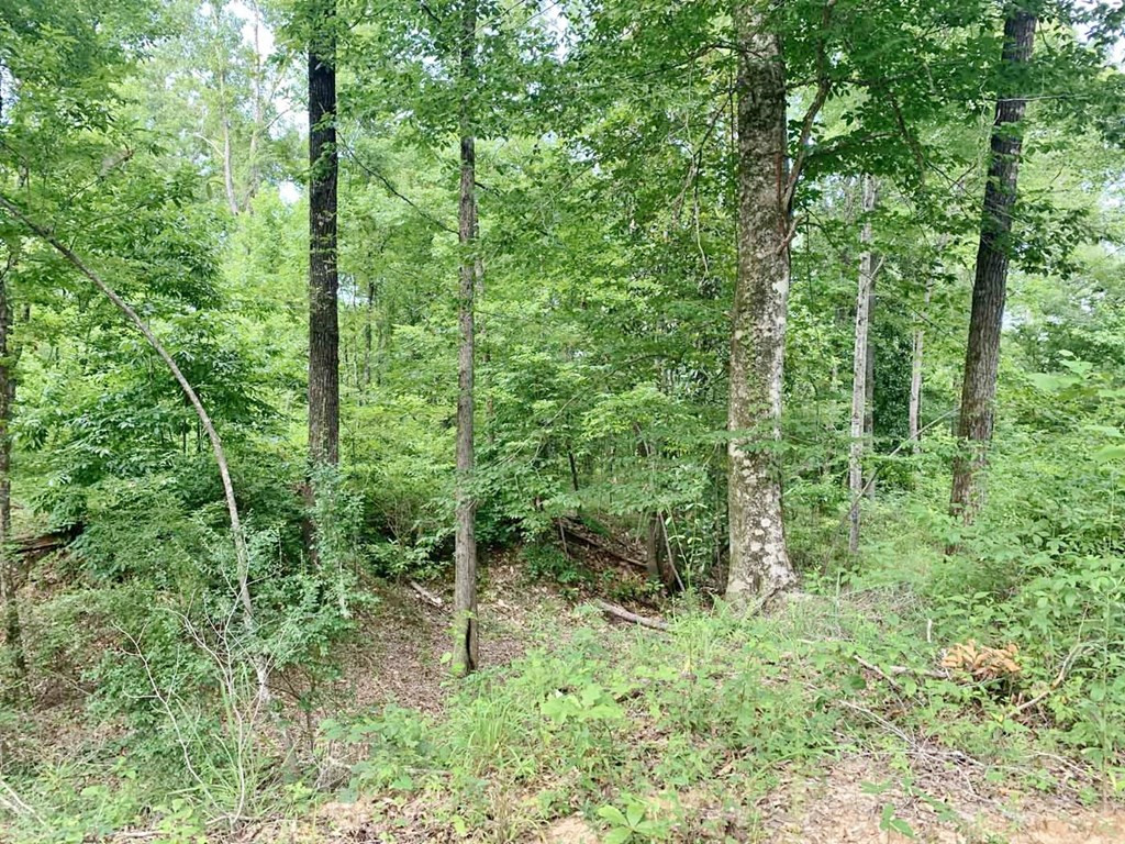 3000 Stonington Road Lorman, MS 39096 - Photo 14 of 38 Photo 14