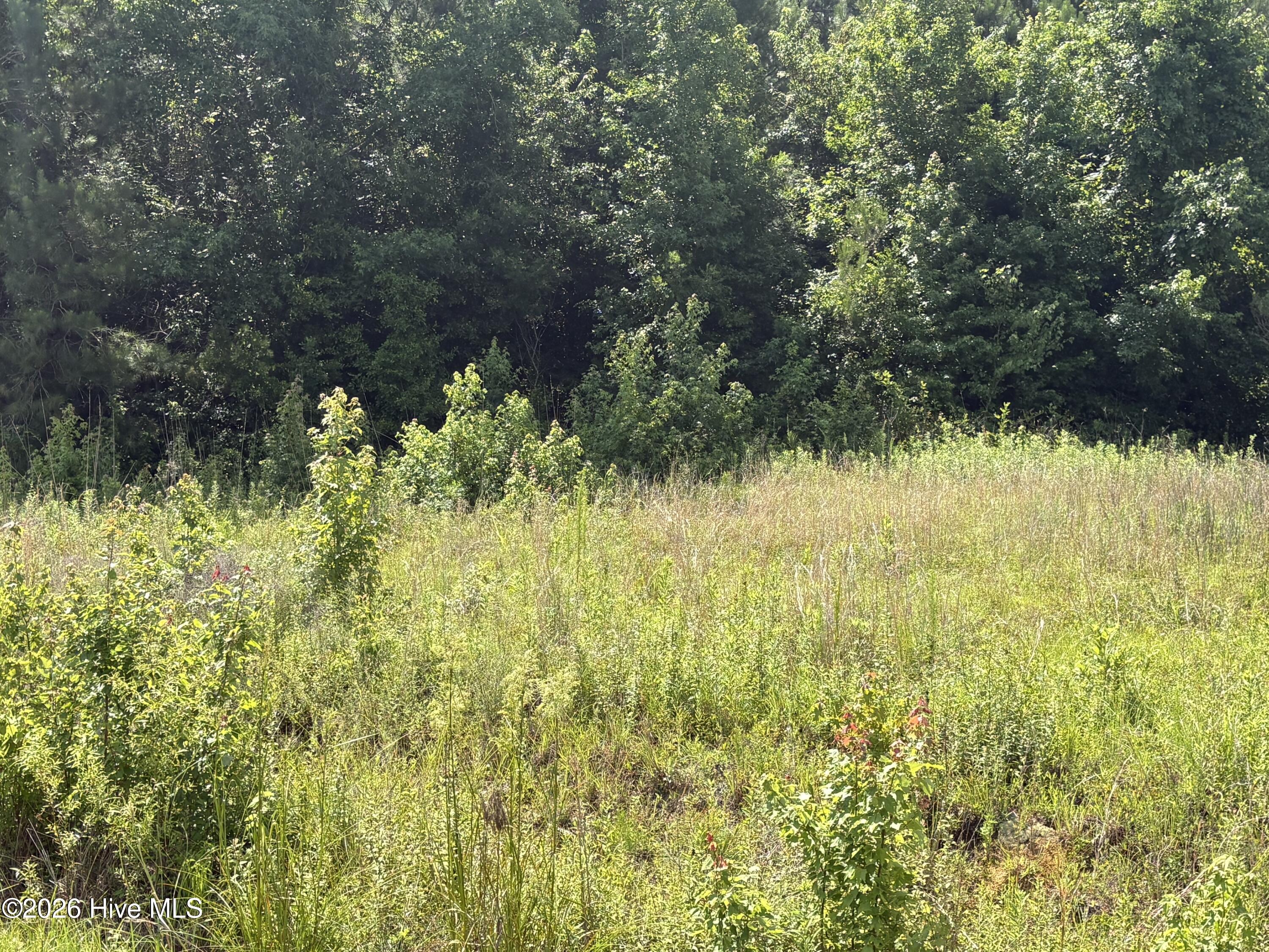 1419 Mable Spaulding Road Whiteville, NC 28472 - Photo 16 of 16